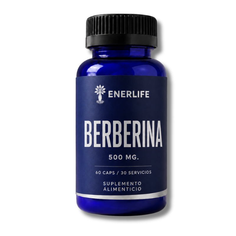 BERBERINA 500 mg - 60 caps / 30 servicios